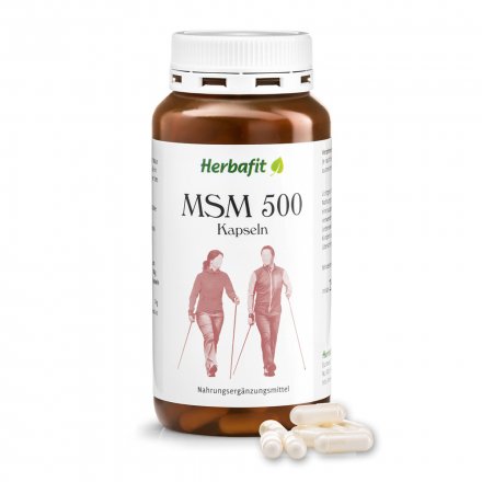 MSM-500 capsules 170 g